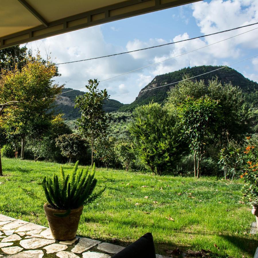 Estia Guest House Ancient Olympia ภายนอก รูปภาพ